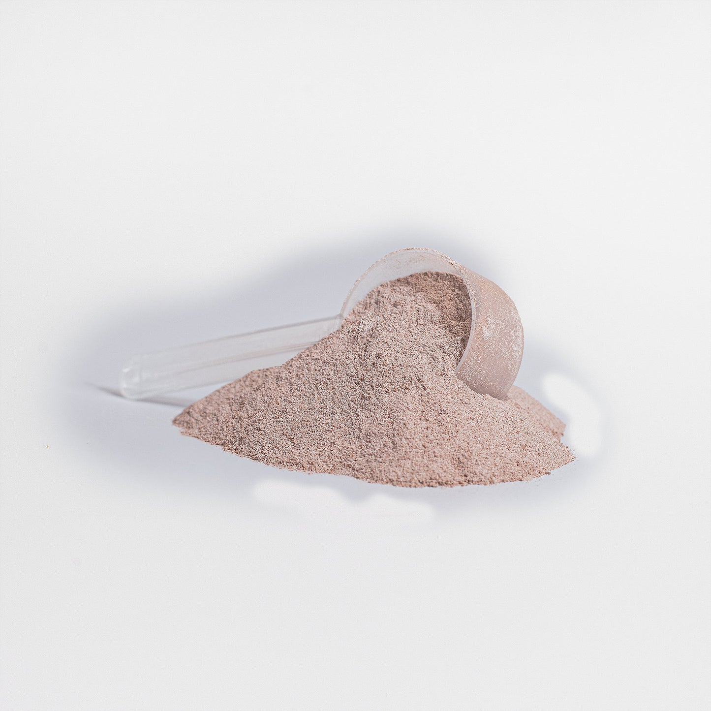 Gut-Friendly Plant Protein, Vanilla